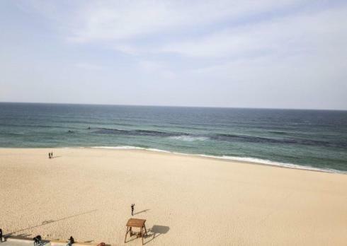 فندق هيرين هاوس جانجنيونج المظهر الخارجي الصورة